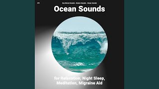 Ocean Waves for Dog Barking