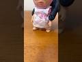 【おふざけ動画】全国の皆さん、おはようございます😃#short #shorts #おはよう #朝のご挨拶 #dance #アグリーベイビー #youtubeshorts
