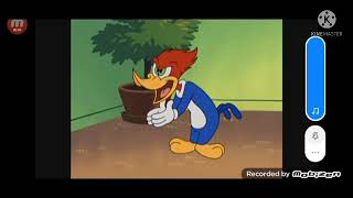 Promo El Pájaro Loco 2013-2016