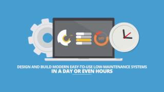 Customized Database Solutions for Enterprises Net Worth