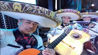 MARIACHI  ESTAMPAS DE MÉXICO EL FUEREÑO