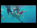 The Oslob Whale Watching Experience - Cebu