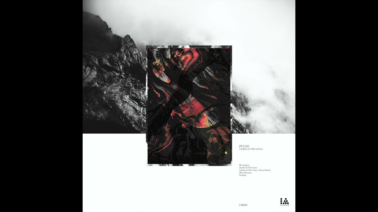 Pulso - Snakes In The Grass (Fixon Remix) [IAR289]