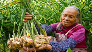 工地孫子生日，阿婆給他做豬腳姜,香香甜甜幸福的味道Guangxi grandma, using pig feet and ginger to make traditional Chinese food