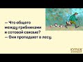 Аморальные мемы: туры в Африку, туризм и эмоциональные качели #анекдоты #юмор