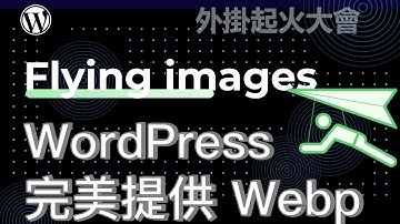 WordPress 圖片優化最完整免費外掛， Flying images 一招解決網站所有圖片問題