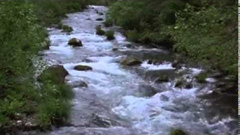 خواتيم يس للقارئ تيسير شرف الدين