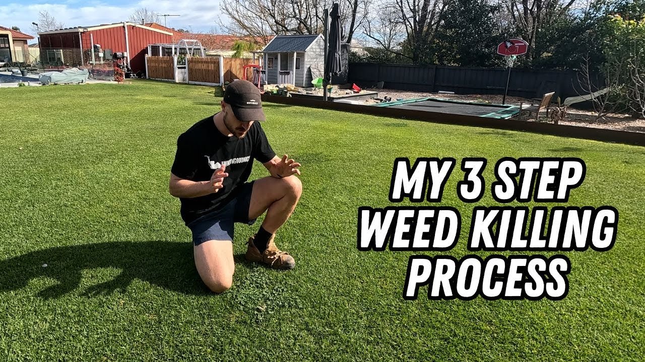 A guide to killing weeds in your lawn