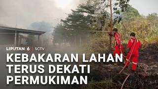 Kebakaran Lahan Terus Dekati Permukiman | Liputan6