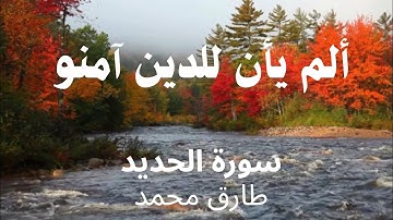 تلاوة تهز القلب | ألم يأن للذين آمنوا؟ بصوت طارق محمد – سورة الحديد