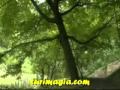 jardines_grosses_Heidelberg_Alemania.flv