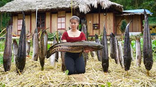 Harvest A Lot Of Snakehead, Grilled Snakehead Fish With Straw And Goes To Market Sell