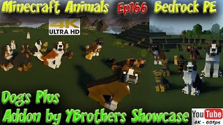 Dogs Plus Addon by YBrothers Minecraft PE Bedrock Animal Addon 60FPS 4K Animals Ep166