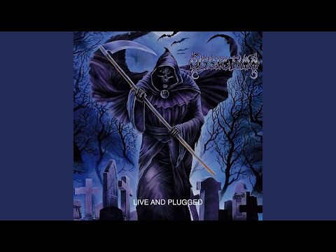 Night's Blood
