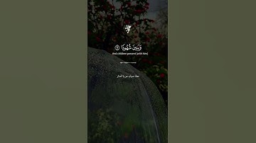 أرح قلبك المتعب قليلاً 💙🎧#تلاوة_هادئة#راحة_نفسية#قرآن#quran #معاذ_صيام