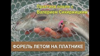 Форель на платнике летом? Практика ловли с Валерием Сикиржицким. Форель на платнике летом? Практика ловли с Валерием Сикиржицким.
