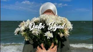 Qalbi Sajad - {speed up}