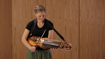 Keyed fiddle (nyckelharpa)