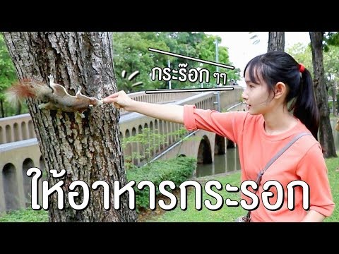 ให้อาหารกระรอกน้อยที่น่ารัก แต่กลับโดนข่วน !! | Sunswap