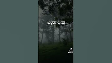 محمد المحيسني - سورة الأحزاب