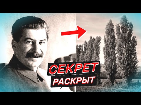 ФАКТ Раскрыт! Почему