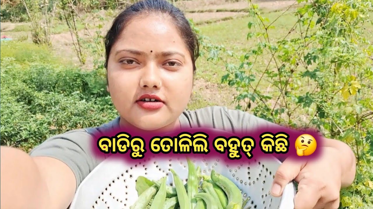 ବହୁତ୍ ଦିନ ପରେ ଆଜି ବାଡିରୁ ବହୁତ୍ କିଛି ଆଣିଲି ତୋଳିକି 😃