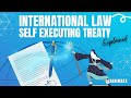 Law of treaties Self-executing treaty simplified International Law