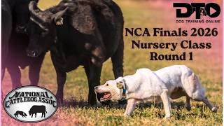 Information National Cattledog Assoc. Finals 2026 - NURSERY-Round 1 Update