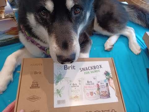 Brit Snackbox für Hunde 💙 | Husky Haul | 🐺 Husky Goraidh 🐾