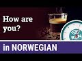 How to ask "how are you?" in Norwegian - One Minute Norwegian Lesson 9