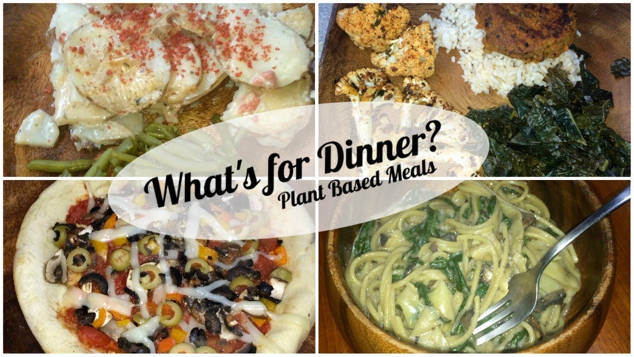 What's for Dinner? - Galley Cooking