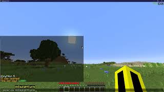 Minecraft ClearChat-Plugin Coden Komplett - Twitch Highlight