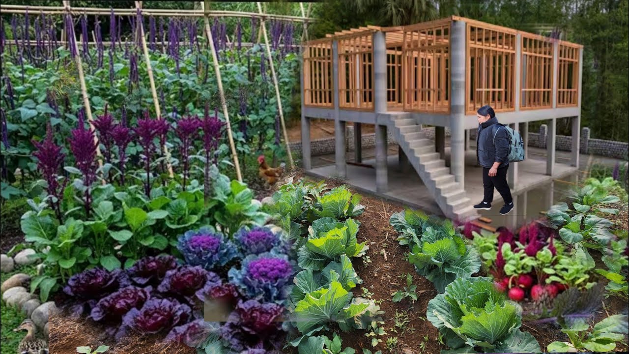 Full video 65 days to build a self-sufficient farm model with giant tanks and water wheels