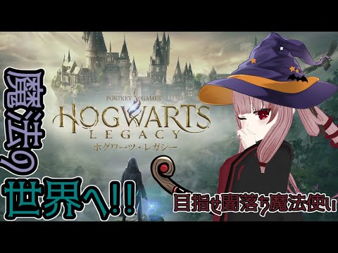 【HOGWARTS LEGACY】#9 モニターが一つ消えました。たぶんリモコンの電池切れ【Vtuber】