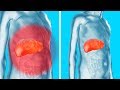 Remove Toxins from Your Kidneys, Liver and Bladder Gently Yet Effectively