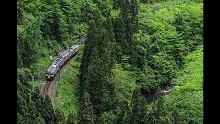 【しなの鉄道】115系特別快速「軽井沢リゾート」走行音【妙高高原→軽井沢】