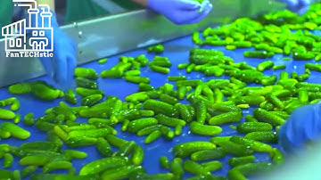 Ever Wondered How Pickles Are Made?! Join us on this FanTECHstic Factory Tour!
