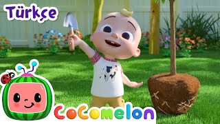 Dünyamızı Korumalıyız 🌍 Cocomelon Türkçe Çizgi Film Bebek Şarkıları Resimi