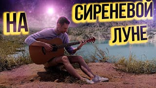НА СИРЕНЕВОЙ ЛУНЕ - Леонид Агутин фингерстайл кавер на гитаре