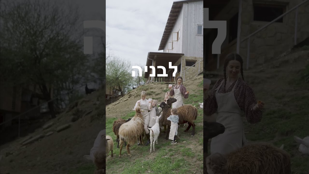 מזה הפשרת קרקע🤔⁉️