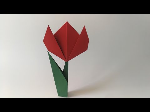 Video: Kağıttan Lale Nasıl Yapılır