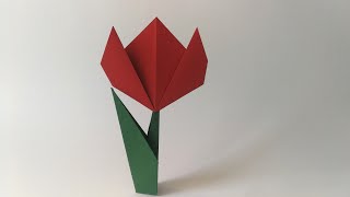 Origami Flower - Tulip