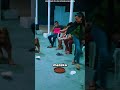 🐠💨 Desafío Viral del Pez de Papel | ¡Sin Tocar y Solo con Aire! 😂