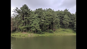 Application video for Google Local Guides Connect Live 2019