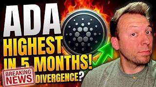 CARDANO ADA - Highest Price in 5 Months! Divergence Questions! Important News!