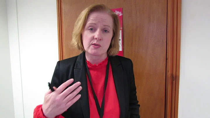 Ruth Coppinger TD report from 1st public session of Committee on 8th Amendment