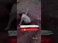 الموت الحنين