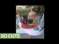 Puppy joins baby in baby bouncer