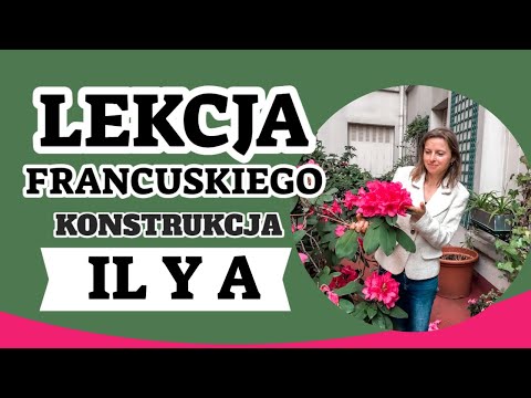 LEKCJA FRANCUSKIEGO KONSTRUKCJA IL Y A