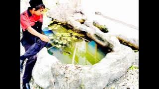 DJ JAMILAH (buatan anak indonesia) asik